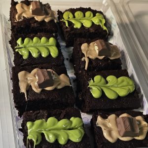 براونيز